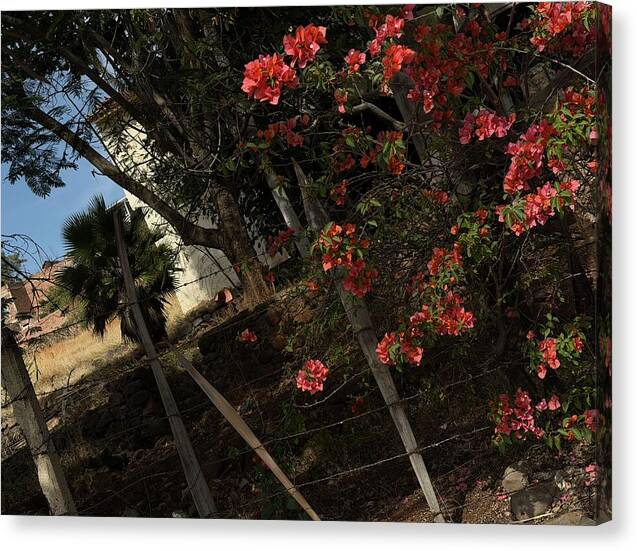 Blooming Flowers - Canvas Print