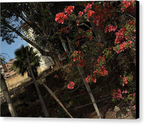 Blooming Flowers - Canvas Print