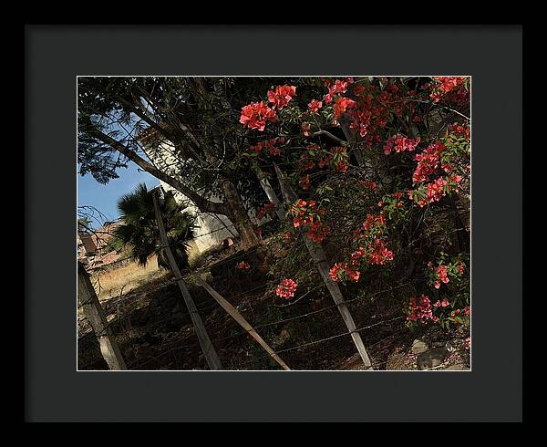 Blooming Flowers - Framed Print