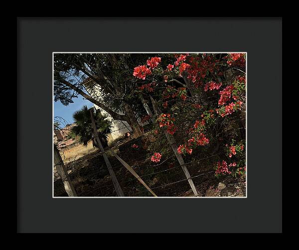 Blooming Flowers - Framed Print