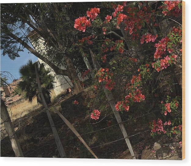 Blooming Flowers - Wood Print