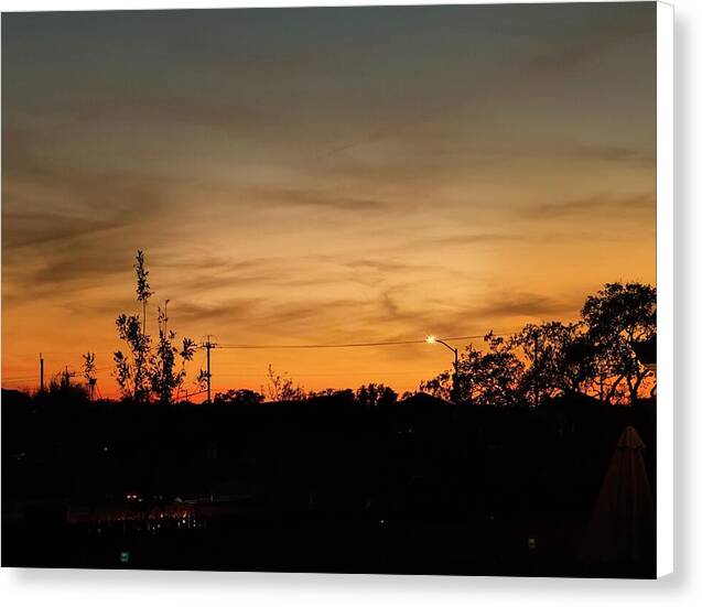 Evening Silhouettes - Canvas Print