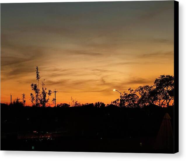 Evening Silhouettes - Canvas Print