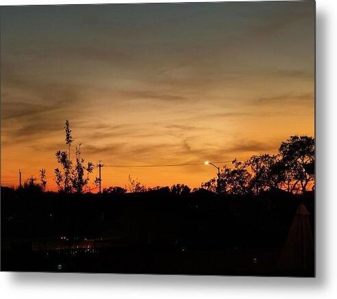 Evening Silhouettes - Metal Print