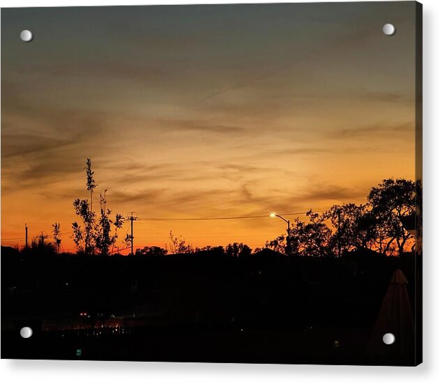 Evening Silhouettes - Acrylic Print