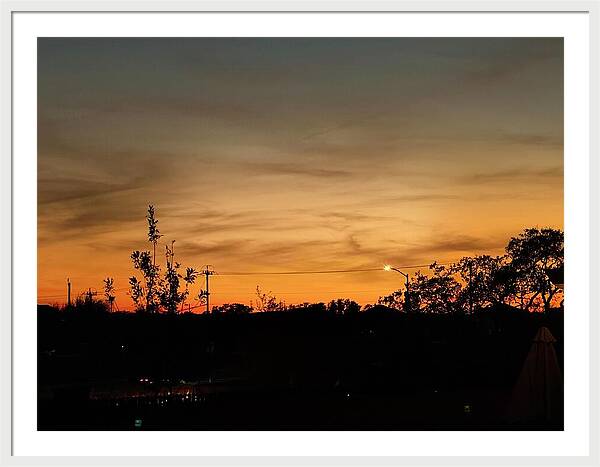 Evening Silhouettes - Framed Print