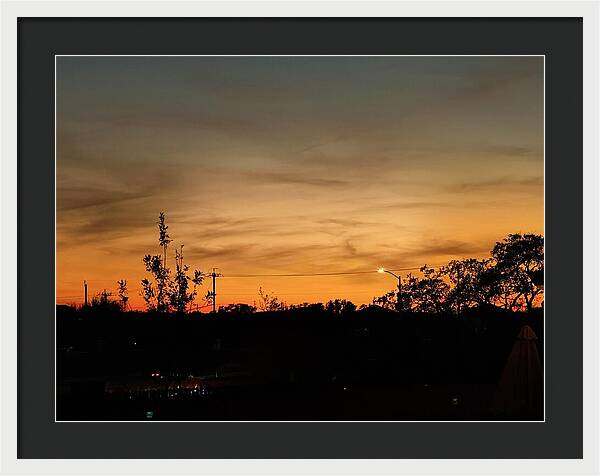 Evening Silhouettes - Framed Print