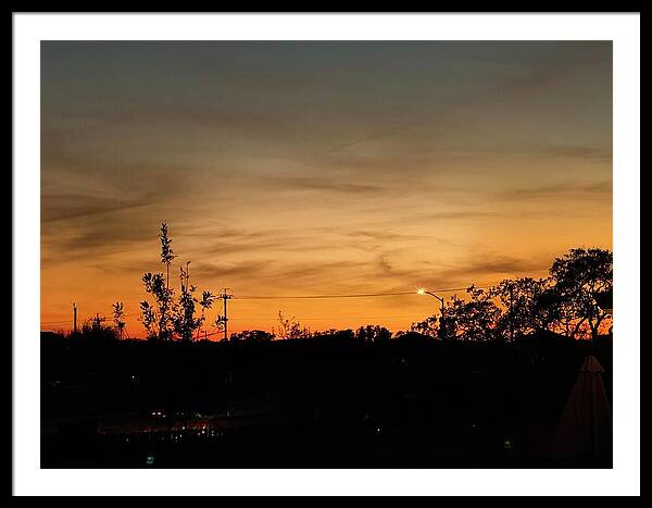 Evening Silhouettes - Framed Print