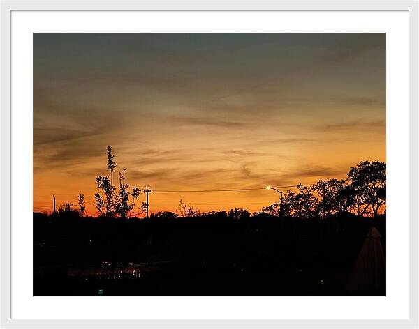 Evening Silhouettes - Framed Print