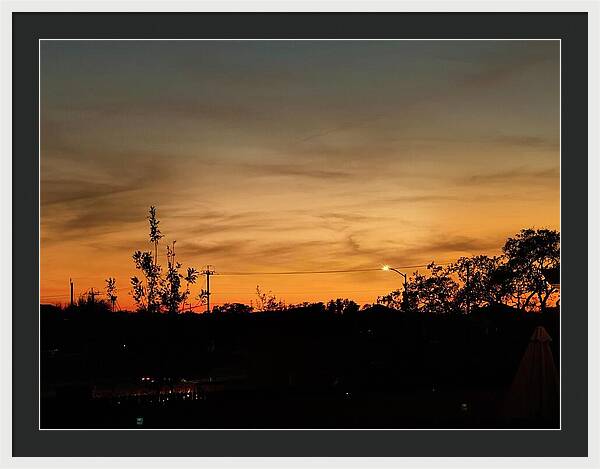 Evening Silhouettes - Framed Print