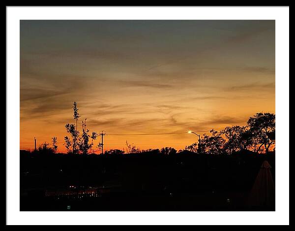 Evening Silhouettes - Framed Print