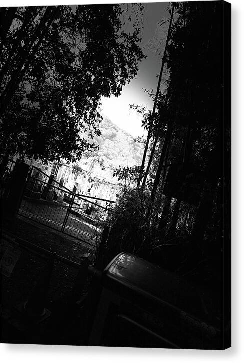 Gated Pathway - Canvas Print