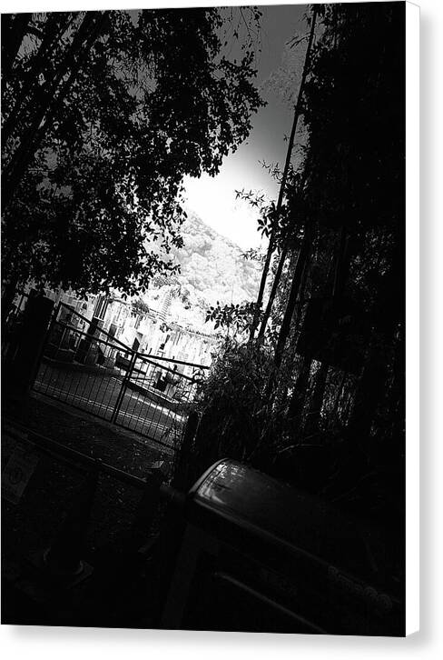 Gated Pathway - Canvas Print