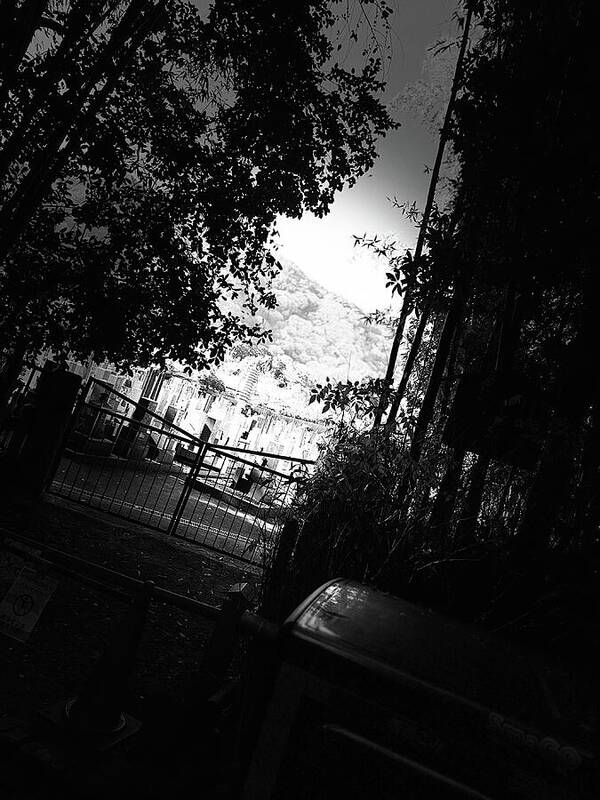 Gated Pathway - Art Print