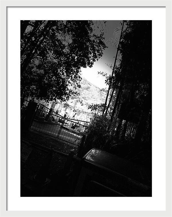 Gated Pathway - Framed Print