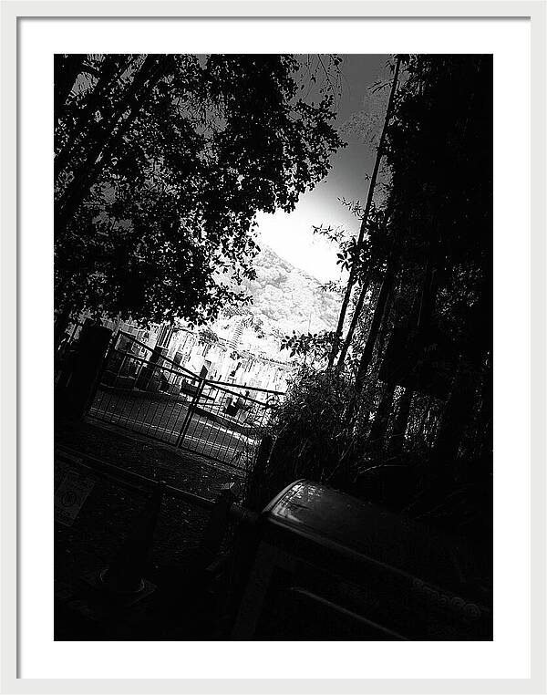 Gated Pathway - Framed Print