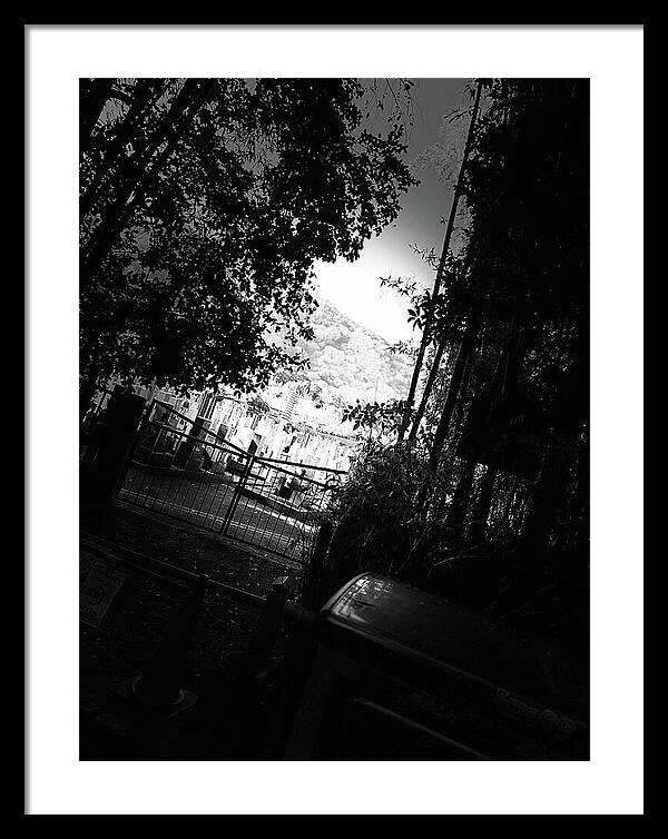 Gated Pathway - Framed Print