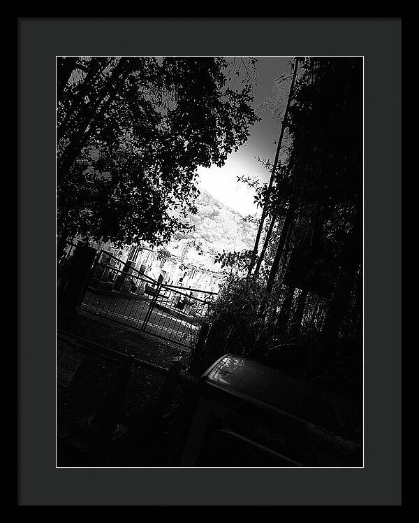 Gated Pathway - Framed Print