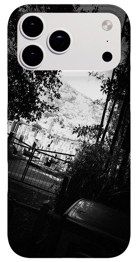 Gated Pathway - Phone Case