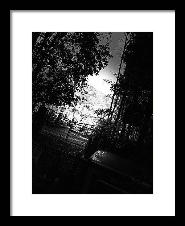 Gated Pathway - Framed Print