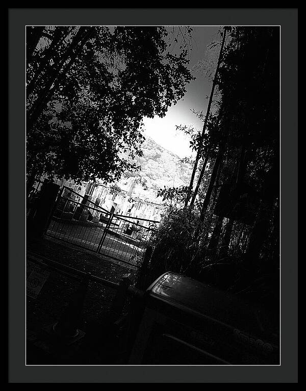 Gated Pathway - Framed Print