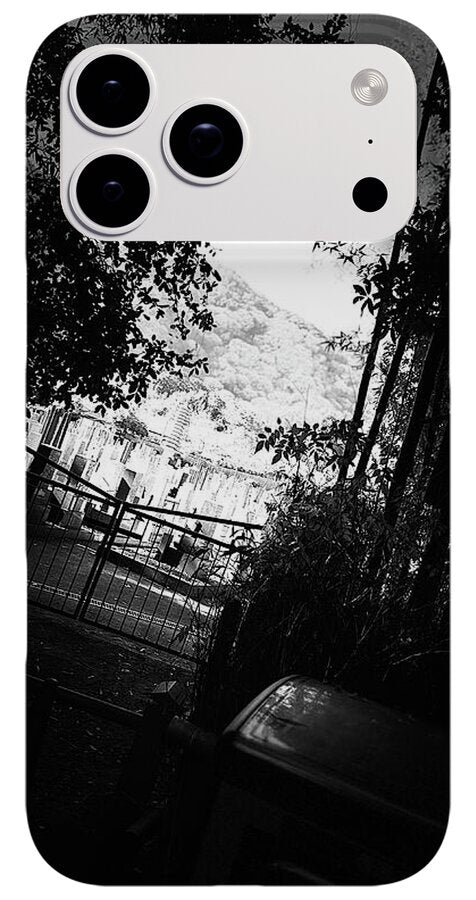 Gated Pathway - Phone Case