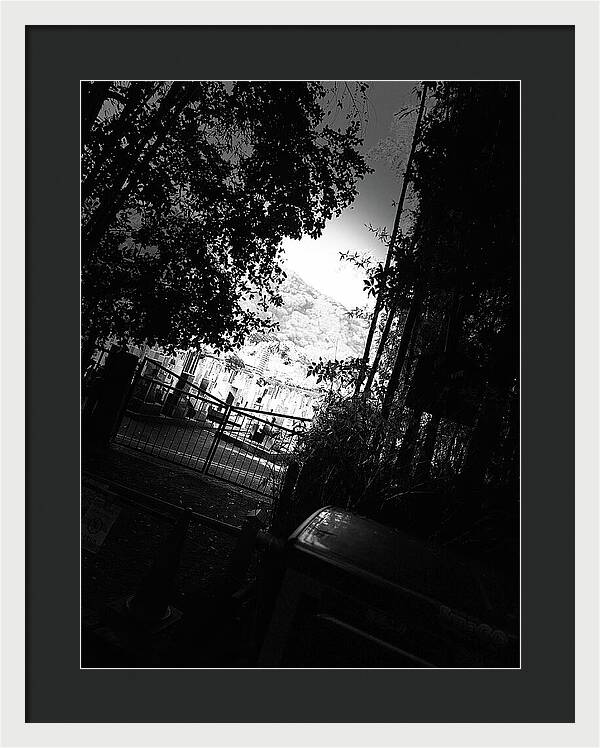 Gated Pathway - Framed Print