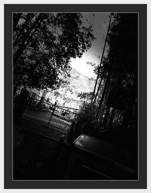 Gated Pathway - Framed Print