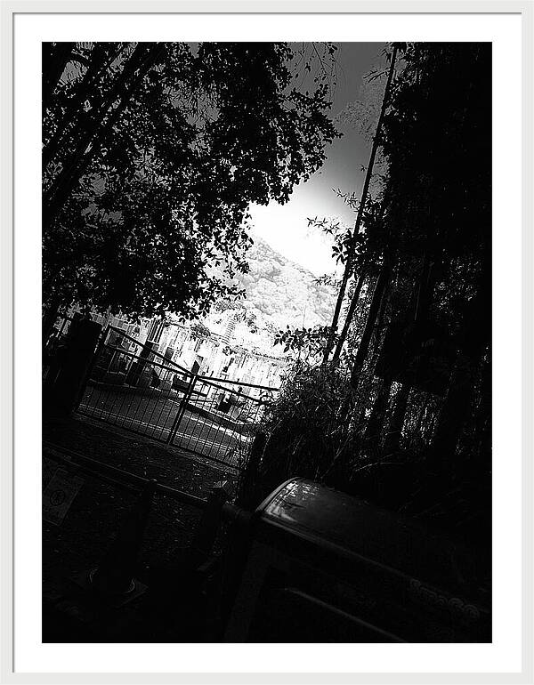 Gated Pathway - Framed Print