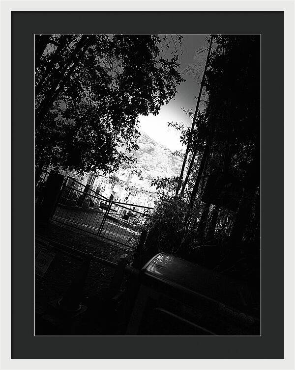 Gated Pathway - Framed Print
