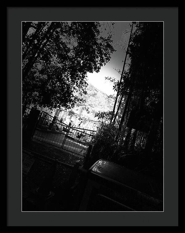 Gated Pathway - Framed Print