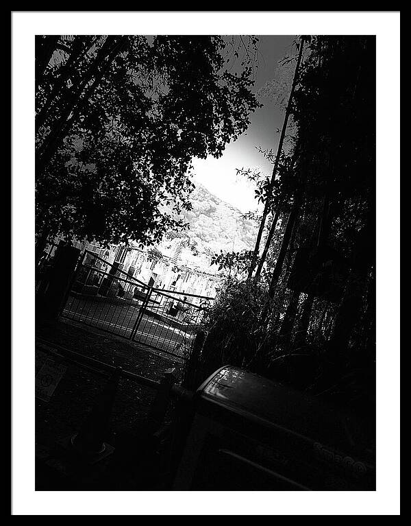 Gated Pathway - Framed Print