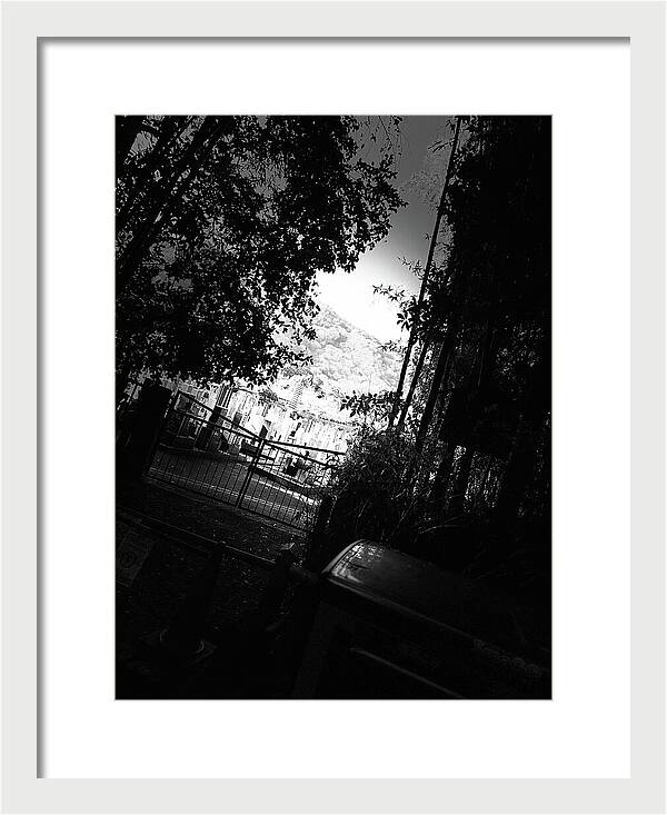 Gated Pathway - Framed Print