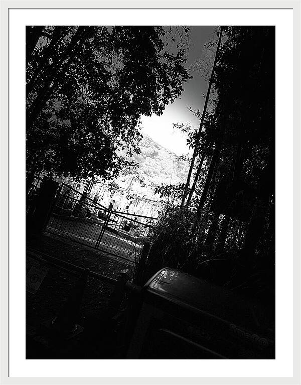 Gated Pathway - Framed Print