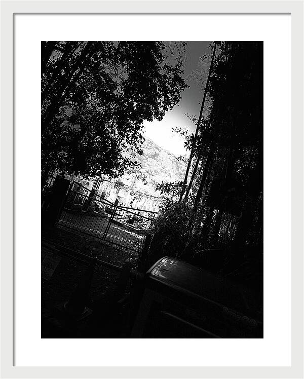 Gated Pathway - Framed Print