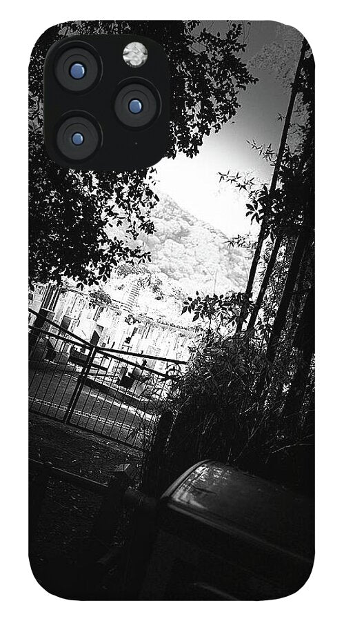 Gated Pathway - Phone Case