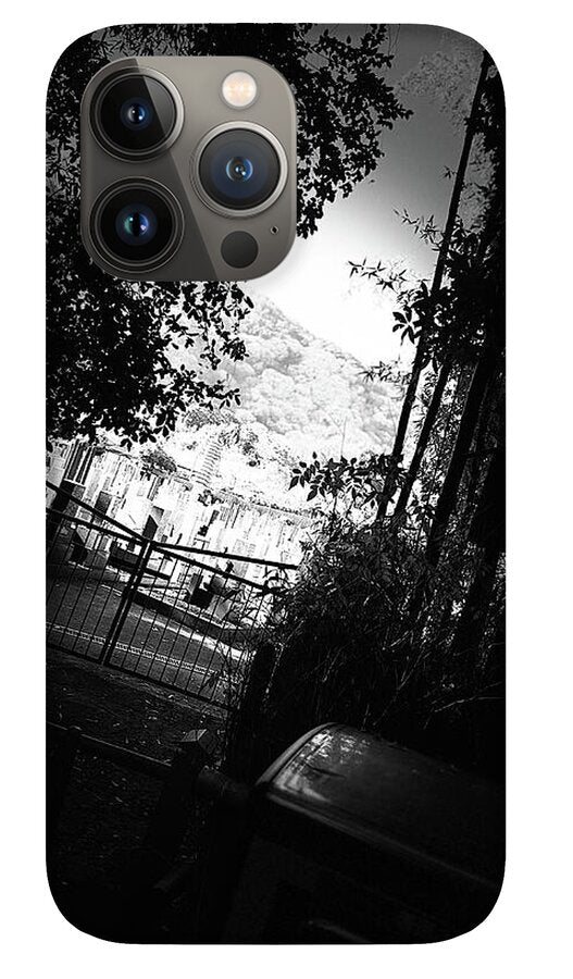 Gated Pathway - Phone Case