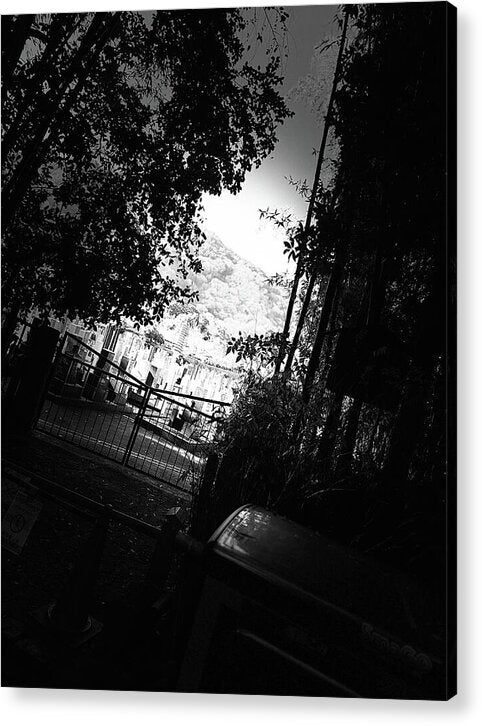 Gated Pathway - Acrylic Print
