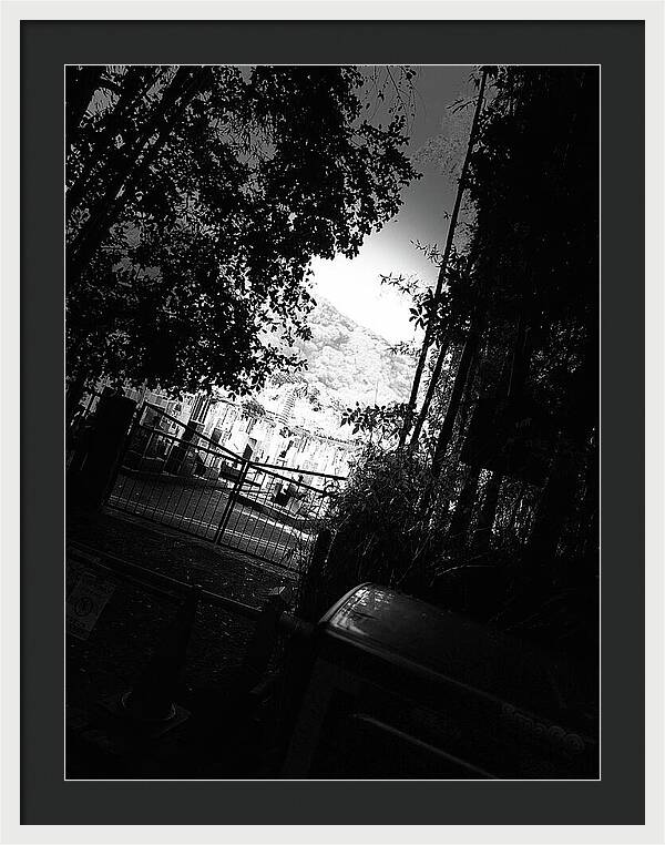 Gated Pathway - Framed Print